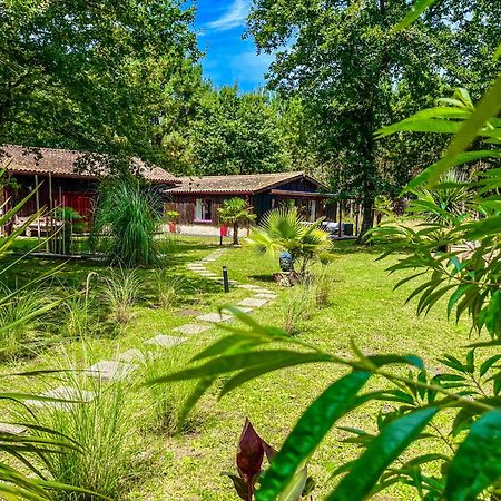 Hacienda De La Canopee Avec Piscine Chauffee Au Sel Hourtin Exteriör bild