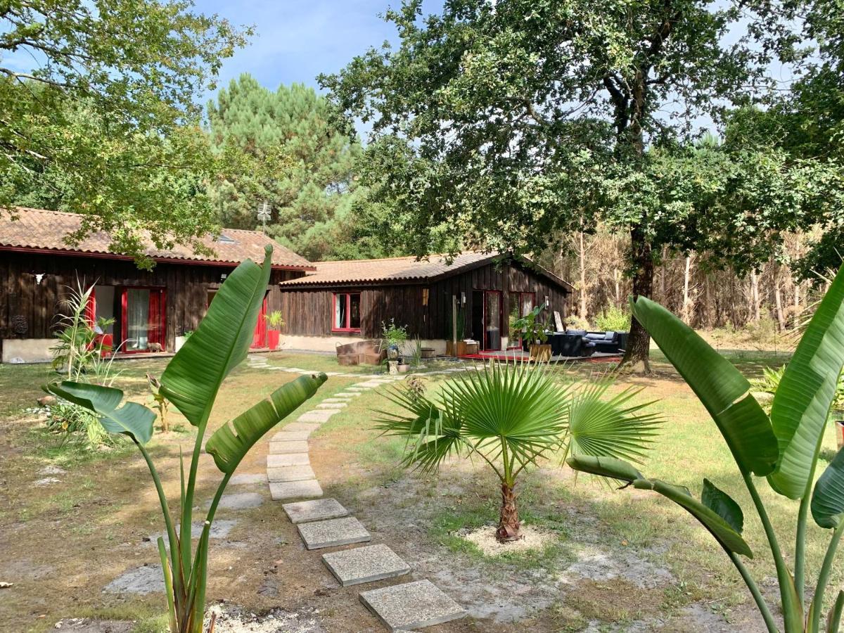 Hacienda De La Canopee Avec Piscine Chauffee Au Sel Hourtin Exteriör bild