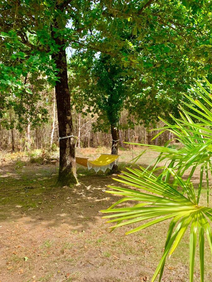 Hacienda De La Canopee Avec Piscine Chauffee Au Sel Hourtin Exteriör bild