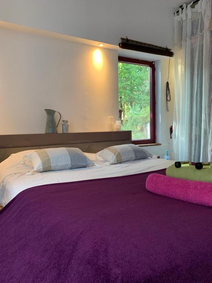 Hacienda De La Canopee Avec Piscine Chauffee Au Sel Hourtin Exteriör bild