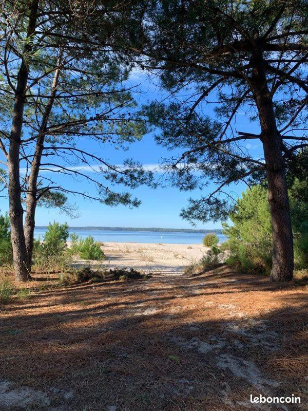 Hacienda De La Canopee Avec Piscine Chauffee Au Sel Hourtin Exteriör bild