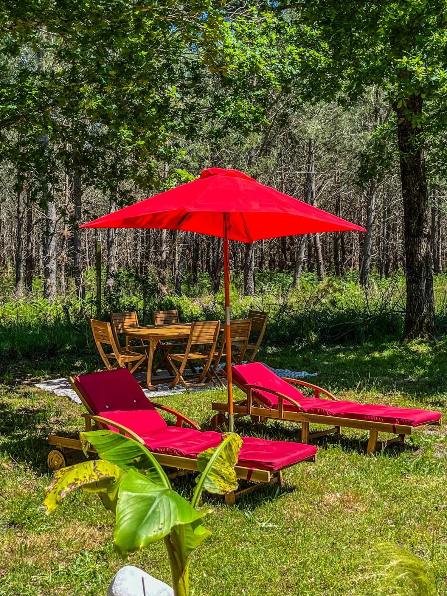 Hacienda De La Canopee Avec Piscine Chauffee Au Sel Hourtin Exteriör bild