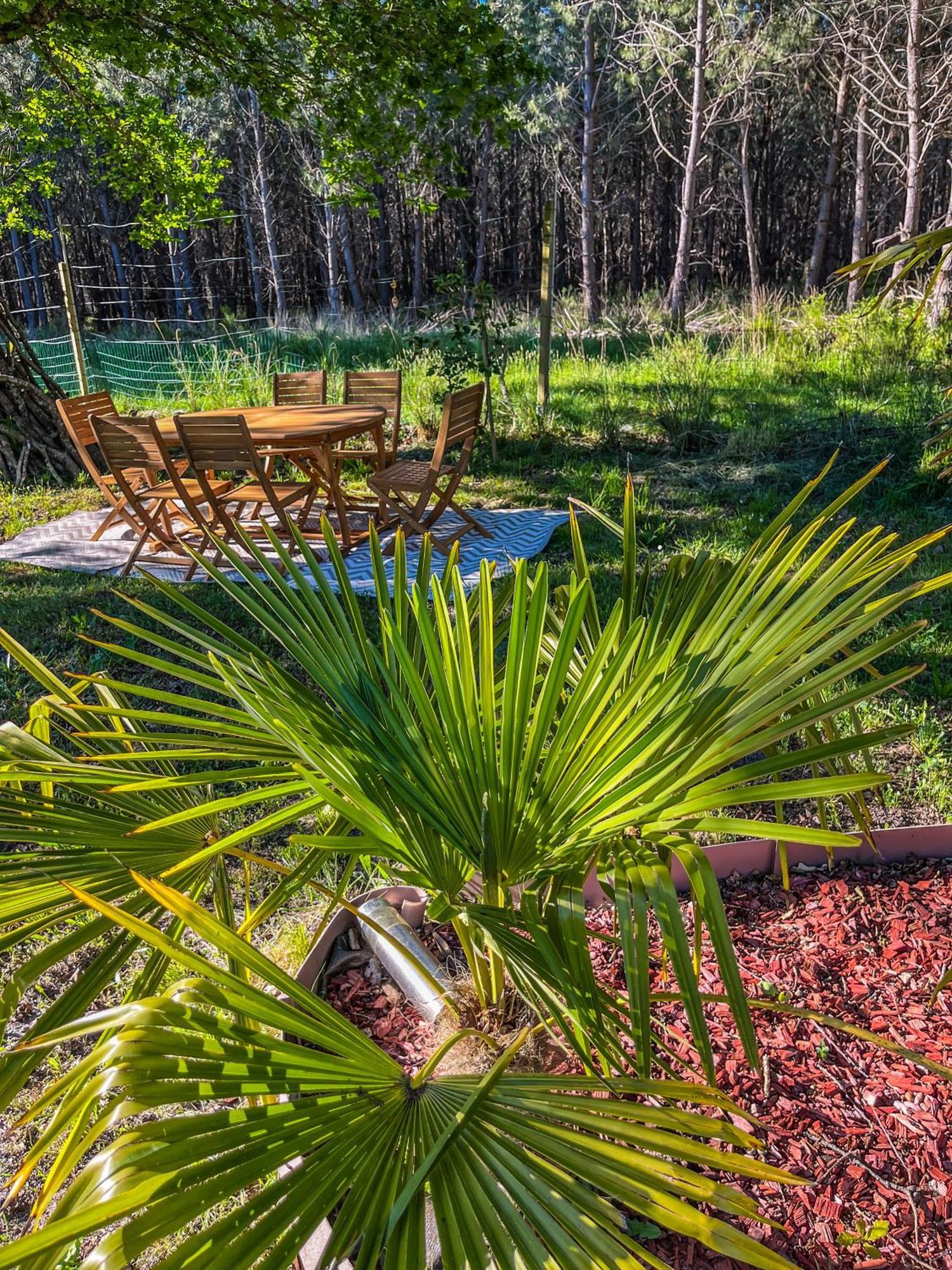 Hacienda De La Canopee Avec Piscine Chauffee Au Sel Hourtin Exteriör bild