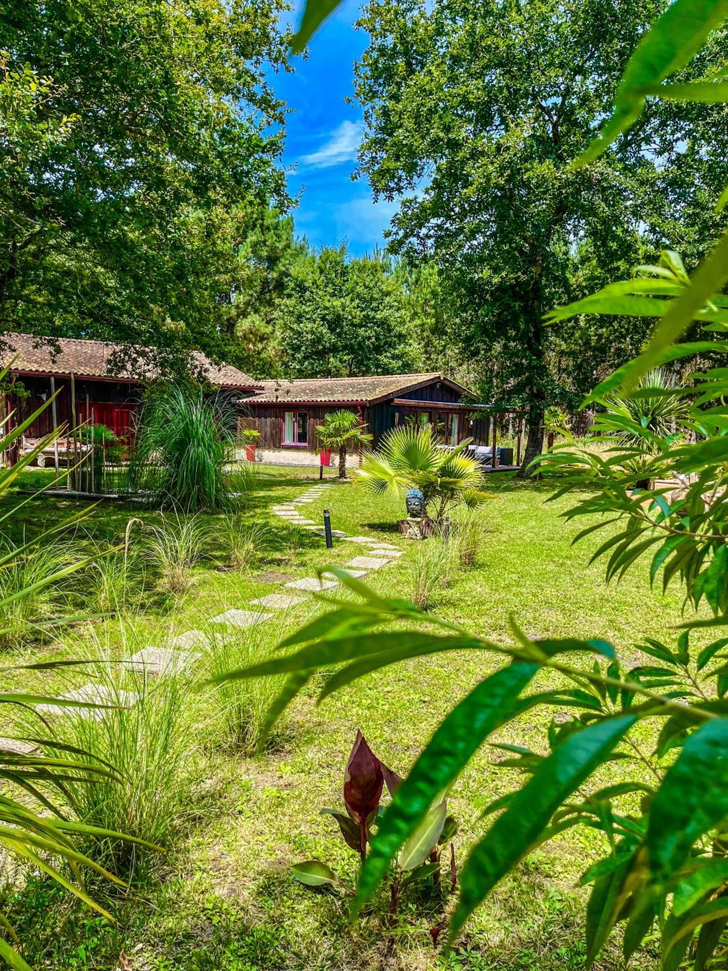 Hacienda De La Canopee Avec Piscine Chauffee Au Sel Hourtin Exteriör bild